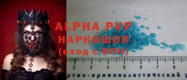 индика Верхний Тагил