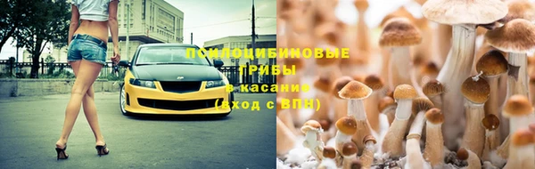 бошки Россошь