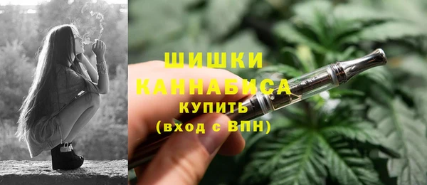 индика Верхний Тагил