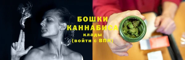 мдпв Верея