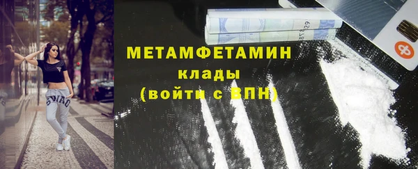 индика Верхний Тагил