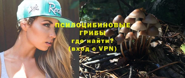 мдпв Верея