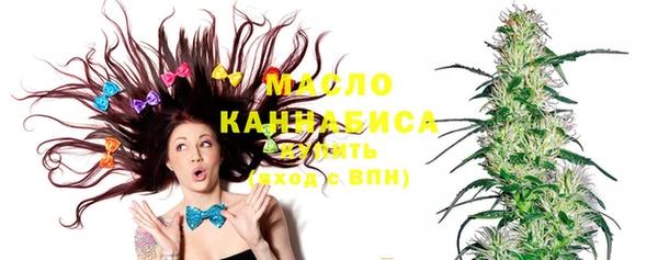мдпв Верея
